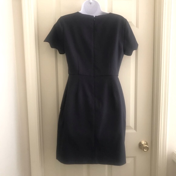 Loft Short Sleeve Scalloped Sheath Dress. Size 2 - Picture 5 of 5
